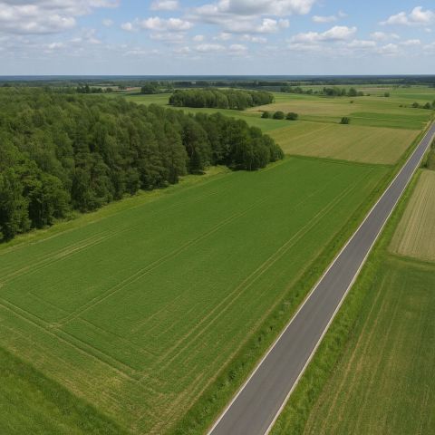 Działka rolna Janów Podlaski. Zdjęcie 1