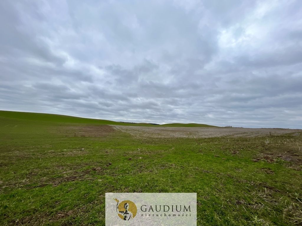 Działka Lubiszewo Tczewskie. Zdjęcie 7