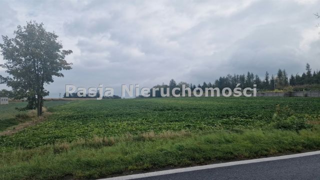 Działka rolna Bronowo-Zalesie. Zdjęcie 1