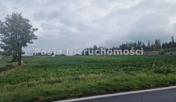 Działka rolna Bronowo-Zalesie