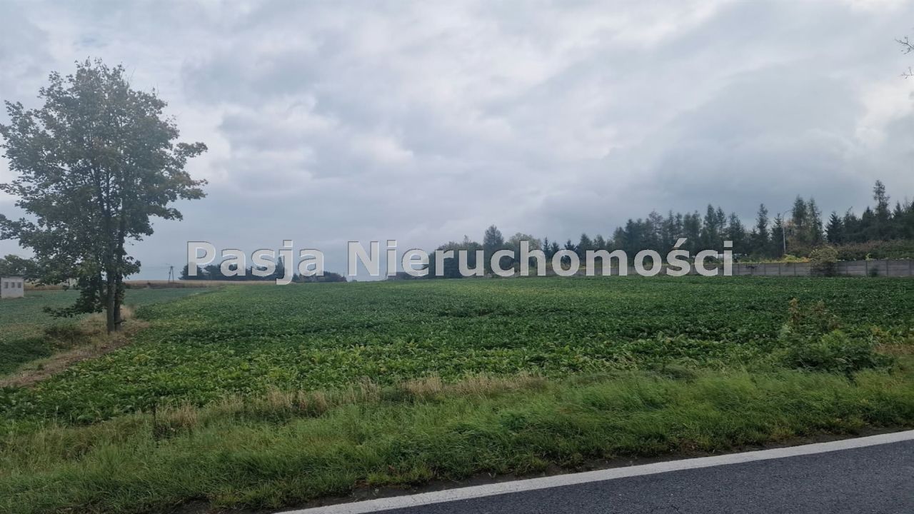 Działka rolna Bronowo-Zalesie. Zdjęcie 1