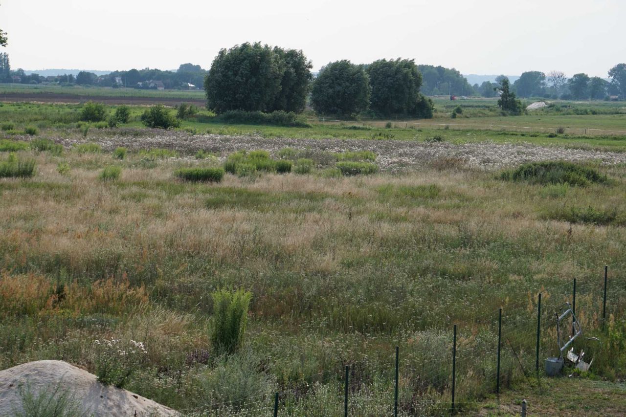 Działka budowlana Kępy Lubczyńskie. Zdjęcie 7