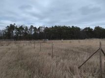 Działka budowlana Laski Lubuskie. Zdjęcie 3