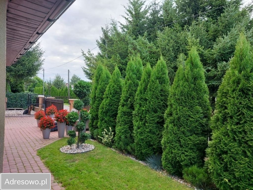 bliźniak, 6 pokoi Hrubieszów. Zdjęcie 17