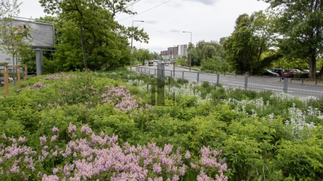 Mieszkanie 2-pokojowe Warszawa Mokotów. Zdjęcie 10