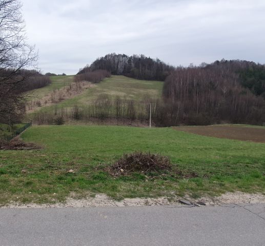 Działka budowlana Jerzmanowice Kolonia Zachodnia, ul. Zachodnia. Zdjęcie 1
