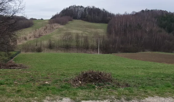 Działka budowlana Jerzmanowice Kolonia Zachodnia, ul. Zachodnia