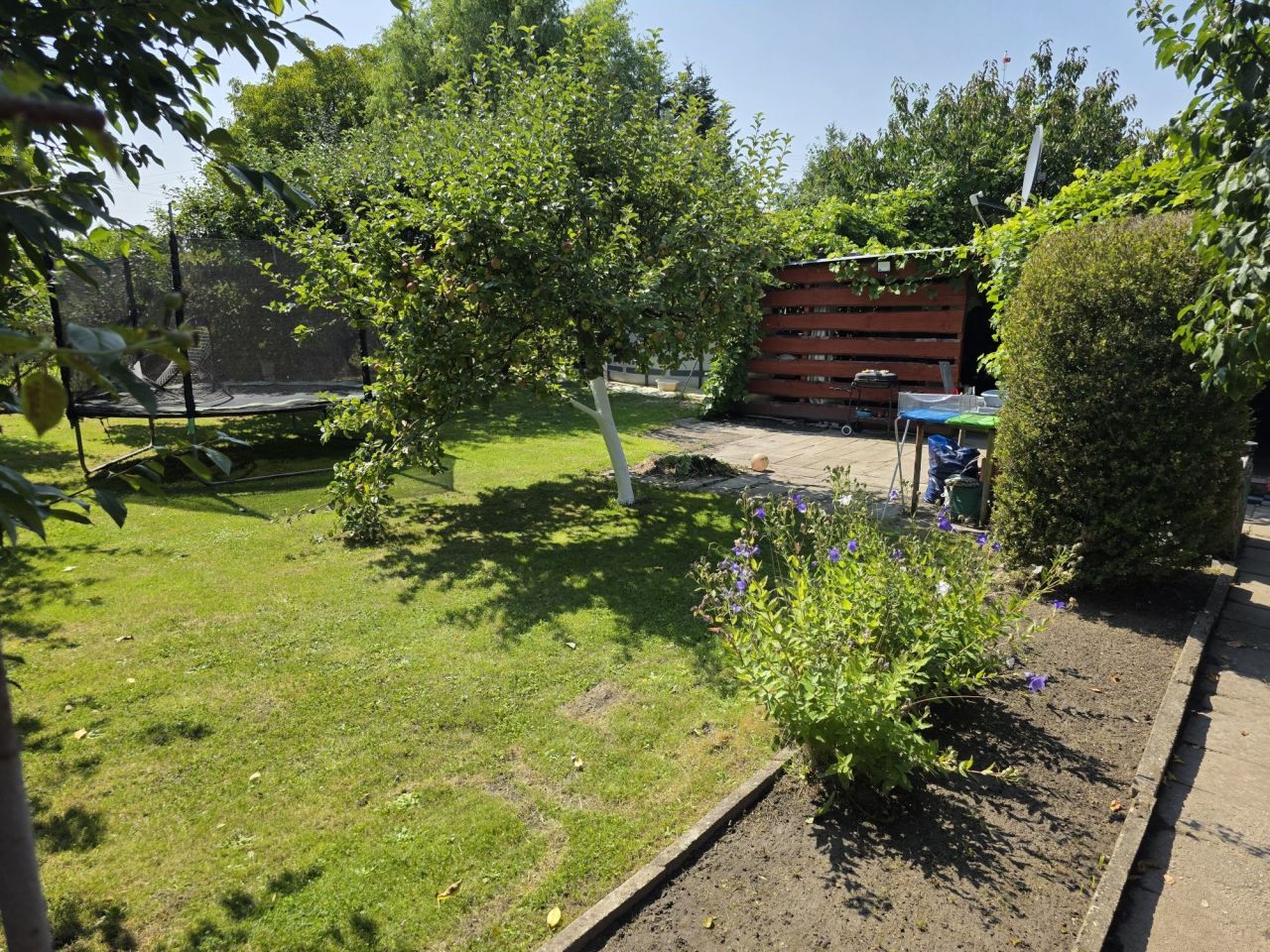 Działka rod Zabrze Grzybowice. Zdjęcie 5