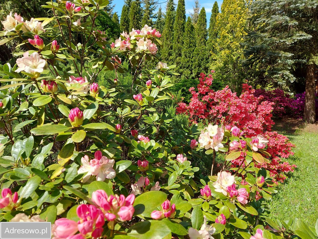 Działka rod Krępa, ul. Długa. Zdjęcie 4