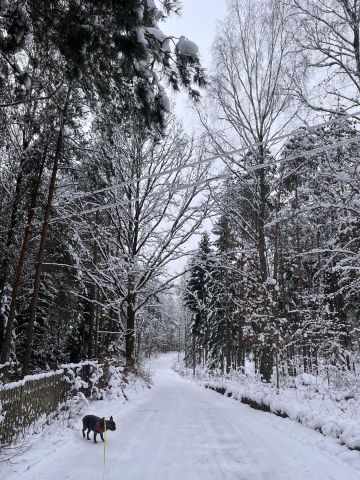dom wolnostojący, 3 pokoje Rykowiec. Zdjęcie 31