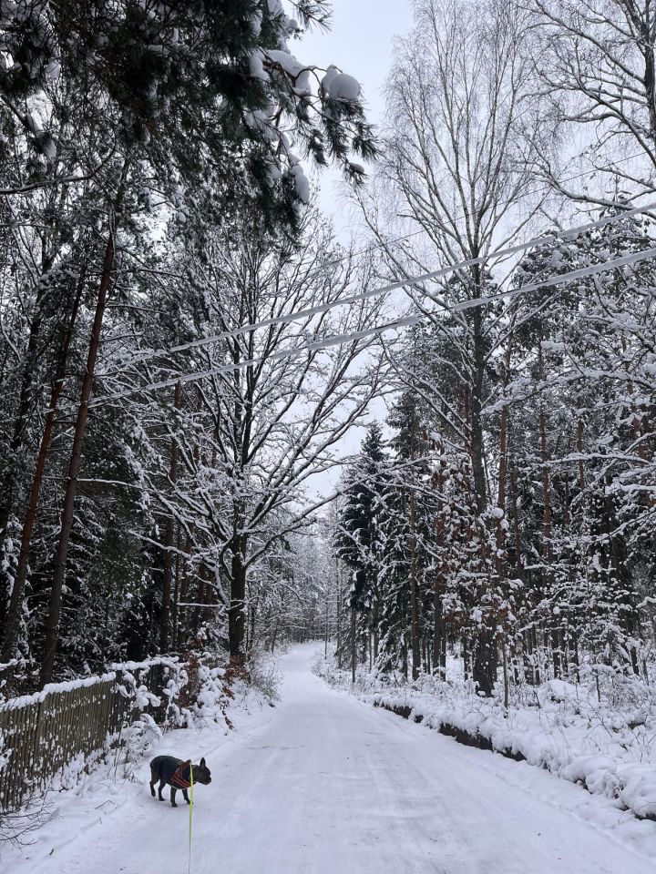 dom wolnostojący, 3 pokoje Rykowiec. Zdjęcie 31