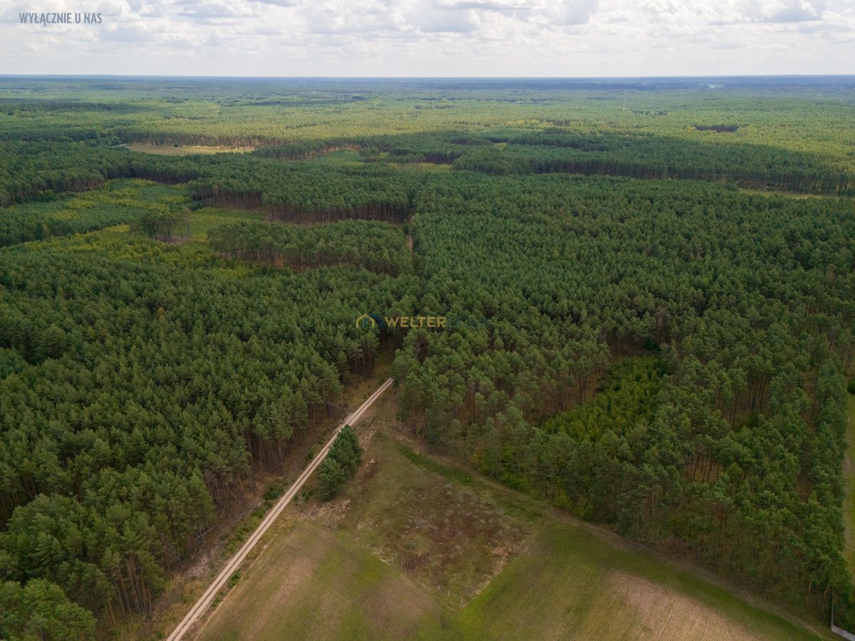 Działka budowlana Silna. Zdjęcie 8