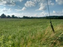 Działka budowlana Glinik Średni Kamieniec. Zdjęcie 2