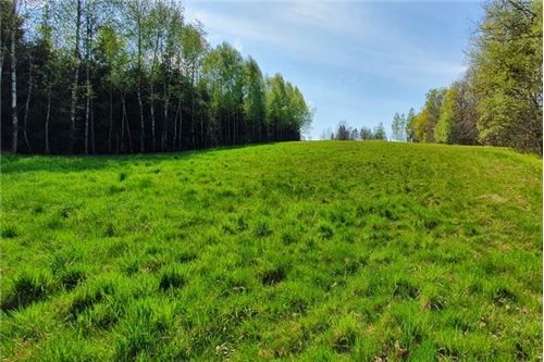 Działka budowlana Głogoczów. Zdjęcie 3