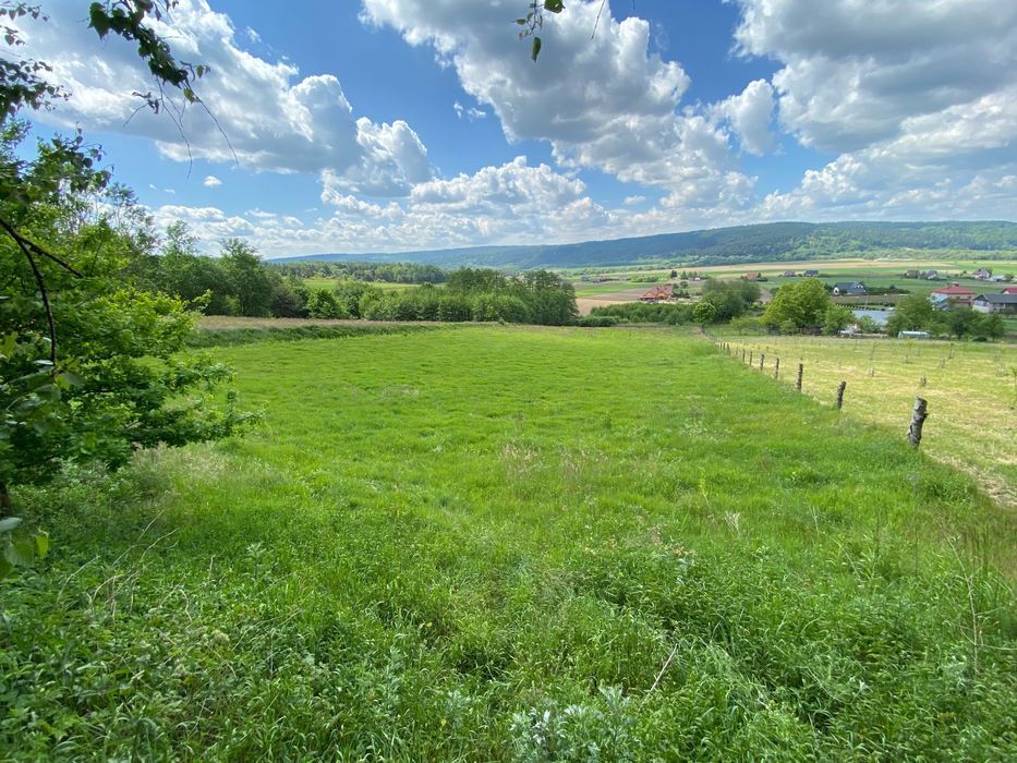 Działka rolno-budowlana Nienadowa. Zdjęcie 2