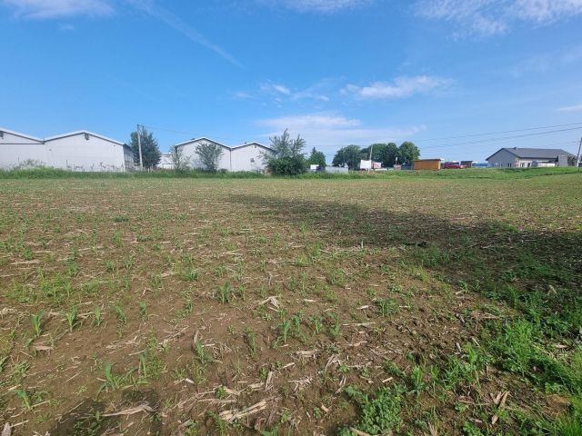 Działka inwestycyjna Jastrzębie-Zdrój Bzie Górne, ul. Pszczyńska. Zdjęcie 9