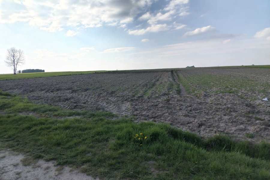 Działka budowlana Latowicz