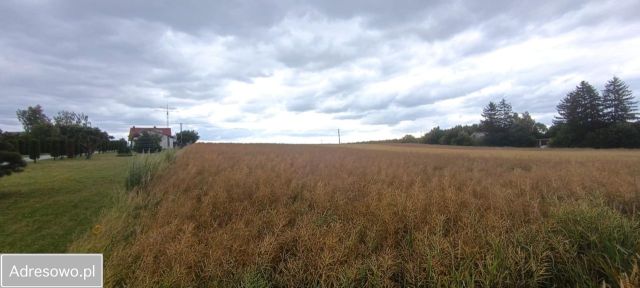 Działka budowlana Siedliszczki. Zdjęcie 1