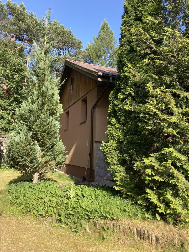 dom wolnostojący, 3 pokoje Czarnów Nowy Czarnów