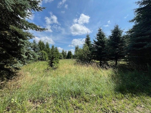 Działka budowlana Oświno. Zdjęcie 2