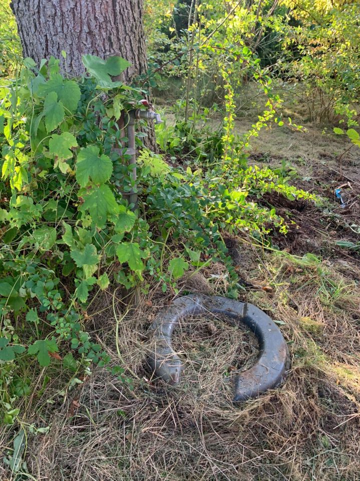 Działka rod Szczaki. Zdjęcie 7