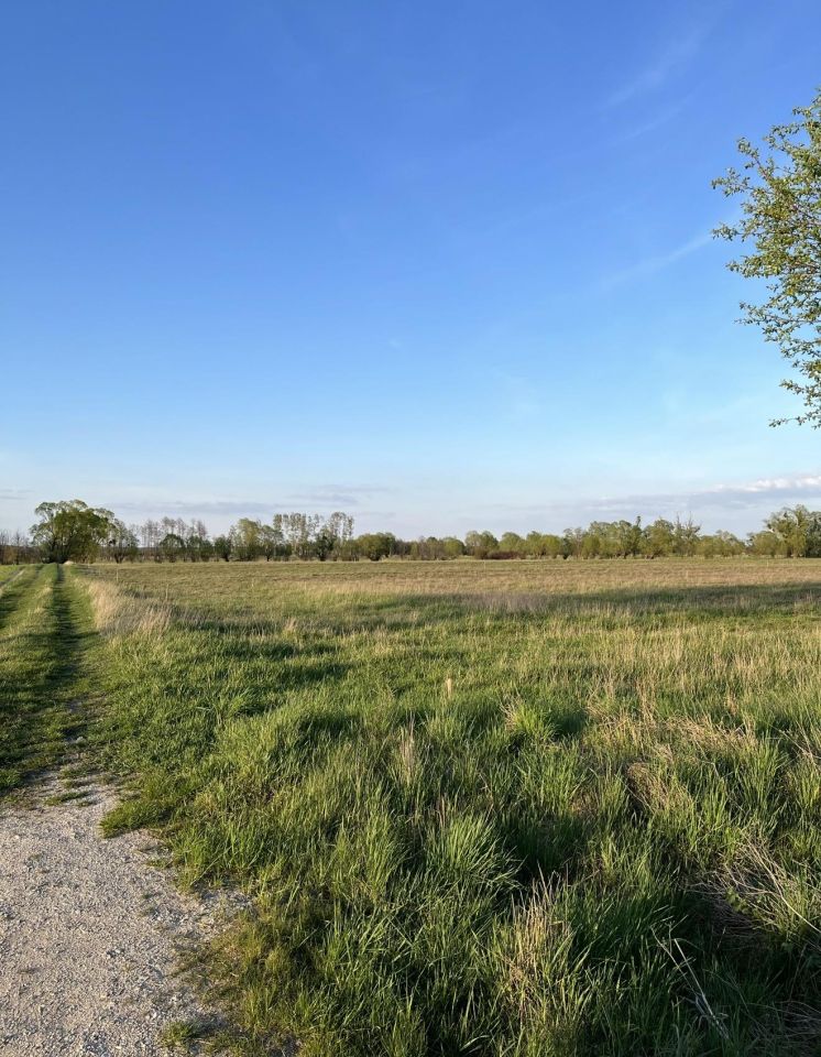 Działka budowlana Zalesie, Ameryczka. Zdjęcie 3