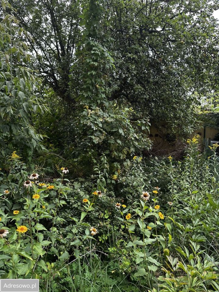 Mieszkanie 3-pokojowe Warszawa Targówek, ul. Złotopolska. Zdjęcie 17