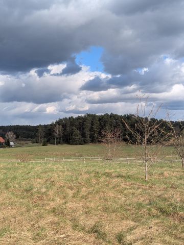 Działka budowlana Zgon. Zdjęcie 1