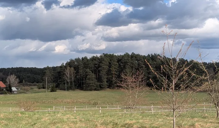 Działka budowlana Zgon