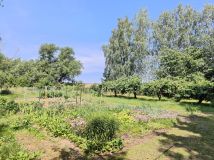 Działka rolna Drążno-Holendry Roztoka. Zdjęcie 4