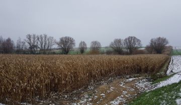 Działka budowlana Biórków Mały