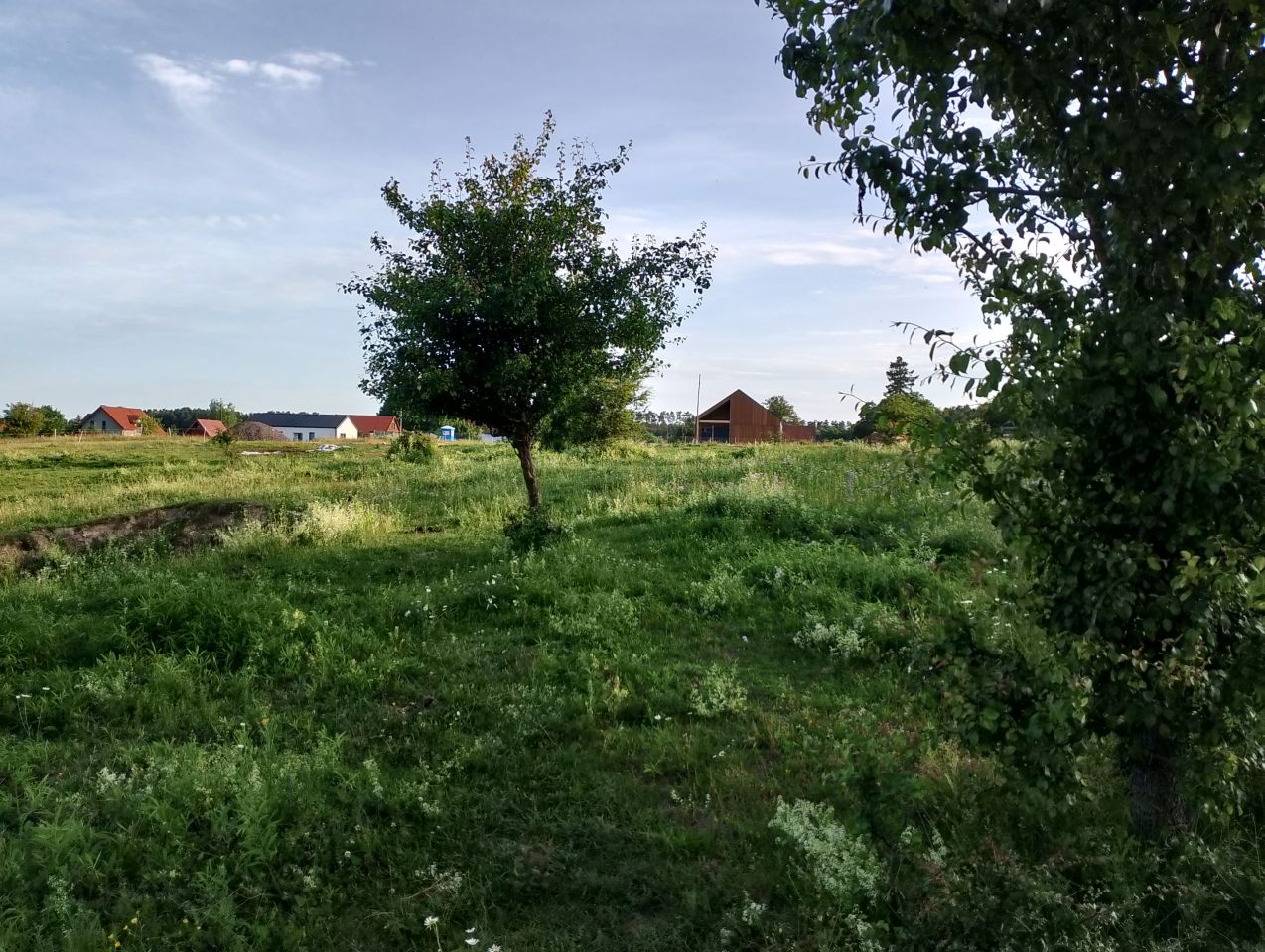 Działka rekreacyjna Kurki. Zdjęcie 10