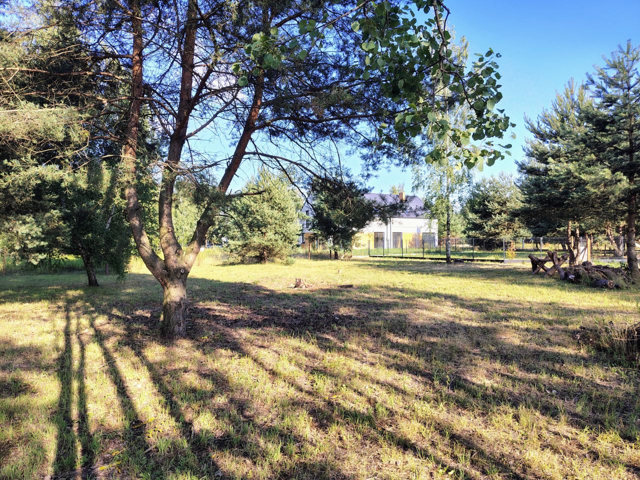 Działka budowlana Marylka, ul. Dębowa. Zdjęcie 6