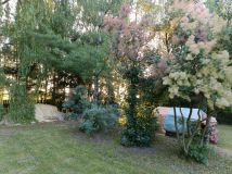 dom wolnostojący Sięciaszka Druga. Zdjęcie 3