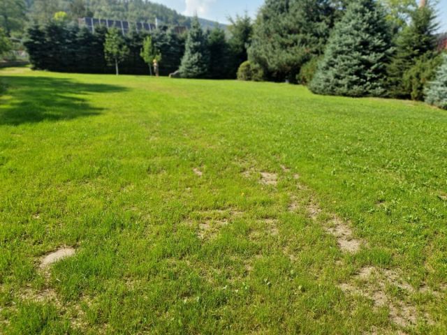 dom wolnostojący, 11 pokoi Karpacz. Zdjęcie 9