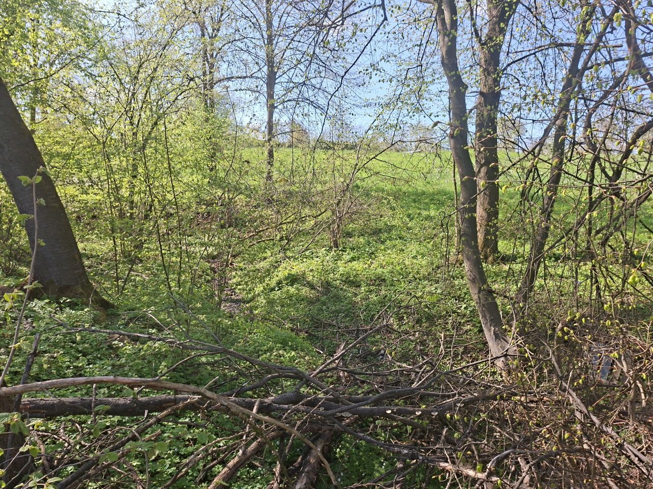 Działka rekreacyjna Przemyśl Kruhel Wielki, ul. Łowiecka. Zdjęcie 3