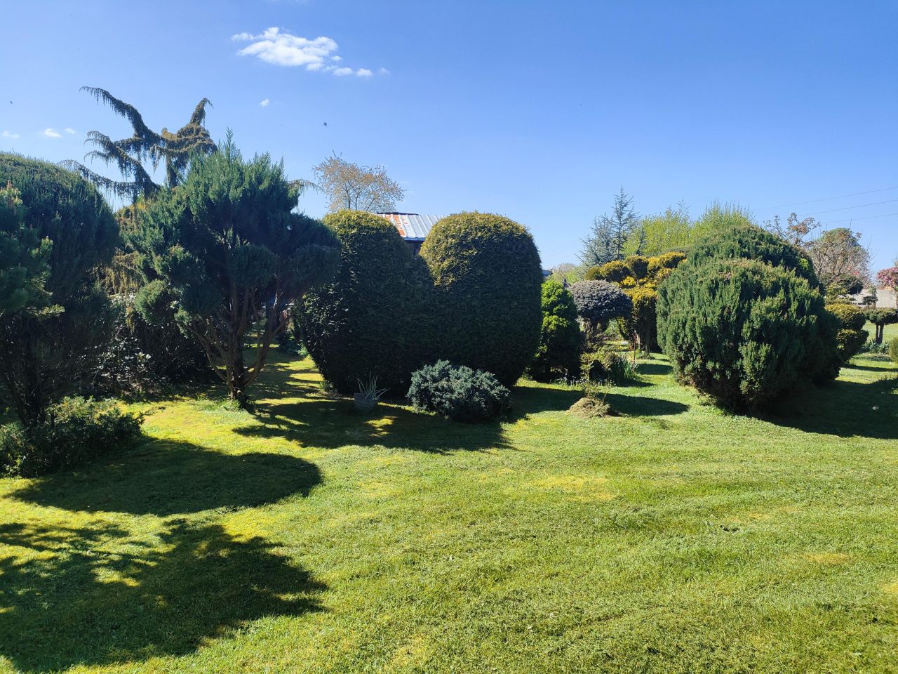 Działka rolna Wiechowo. Zdjęcie 13