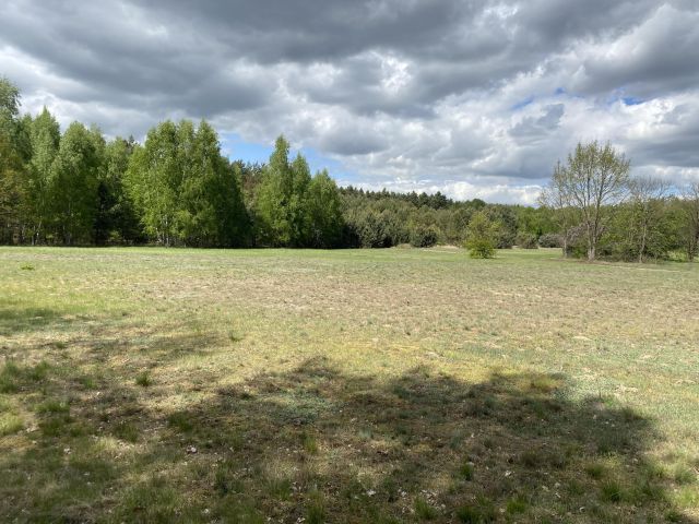 Działka siedliskowa Radziwiłka. Zdjęcie 1