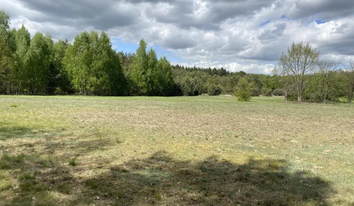 Działka siedliskowa Radziwiłka