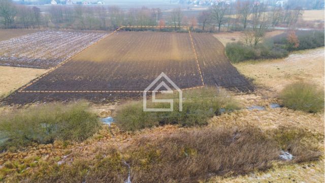 Działka rolna Grobla. Zdjęcie 3