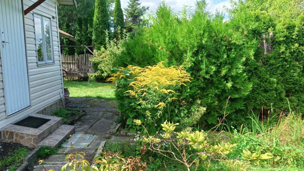 Działka rod Białystok Sienkiewicza. Zdjęcie 7