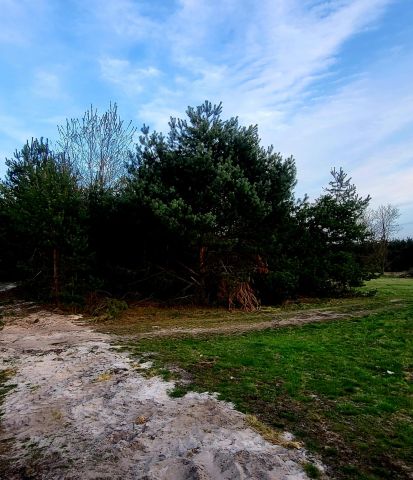 Działka budowlana Bojanów, ul. Rzeszowska. Zdjęcie 3