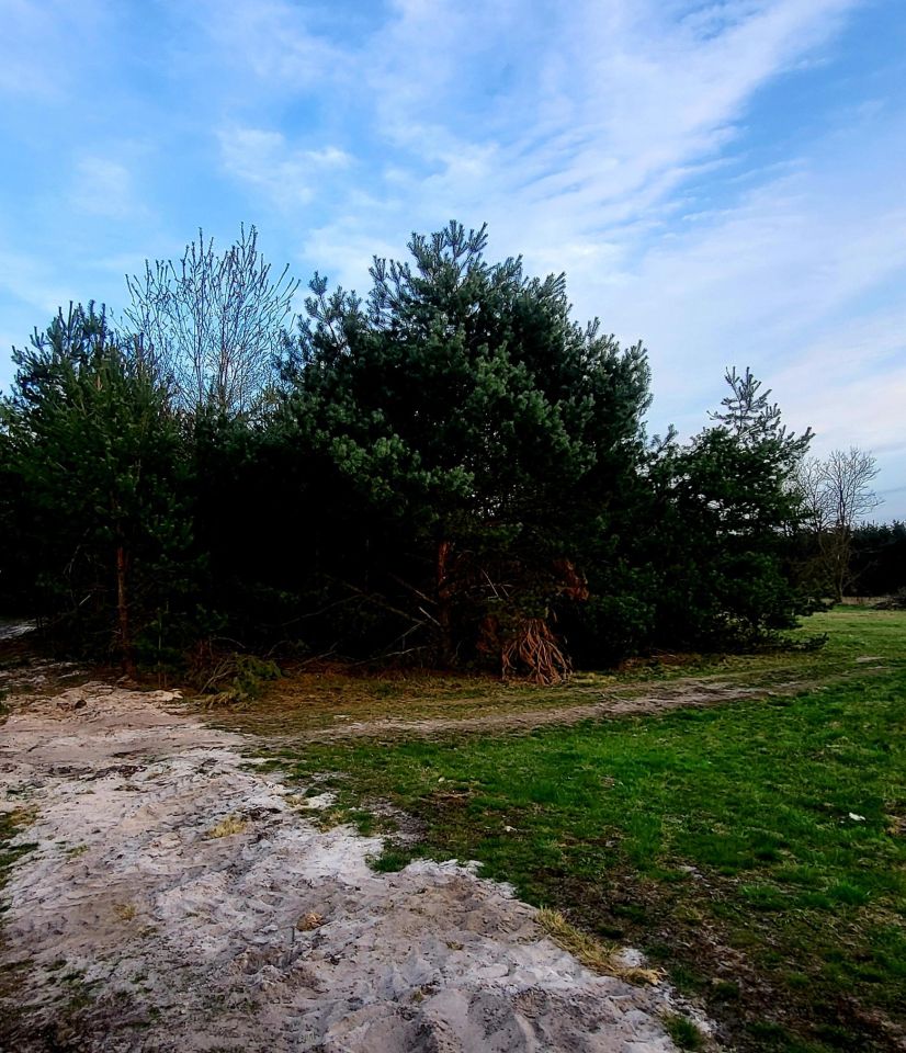 Działka budowlana Bojanów, ul. Rzeszowska. Zdjęcie 3
