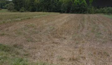 Działka rolno-budowlana Janisławice