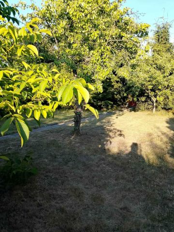 Działka rod Łódź Widzew. Zdjęcie 1