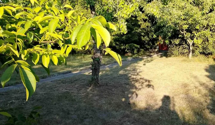 Działka rod Łódź Widzew