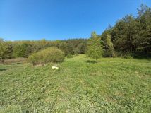 Działka siedliskowa Nowy Targ. Zdjęcie 2