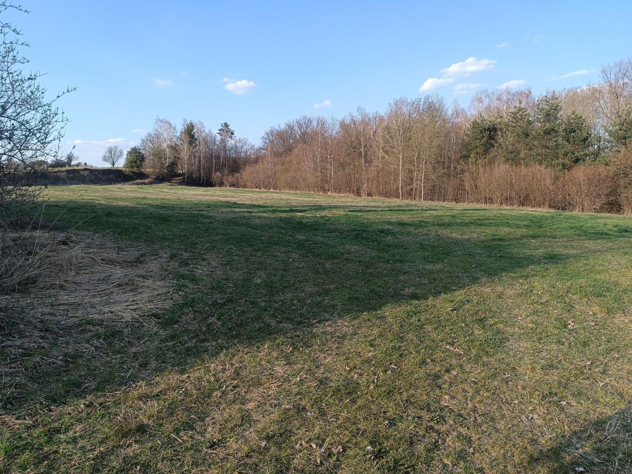 Działka rolna Niemienice. Zdjęcie 5