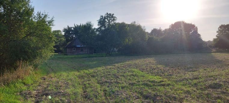 Działka budowlana Polinów. Zdjęcie 5