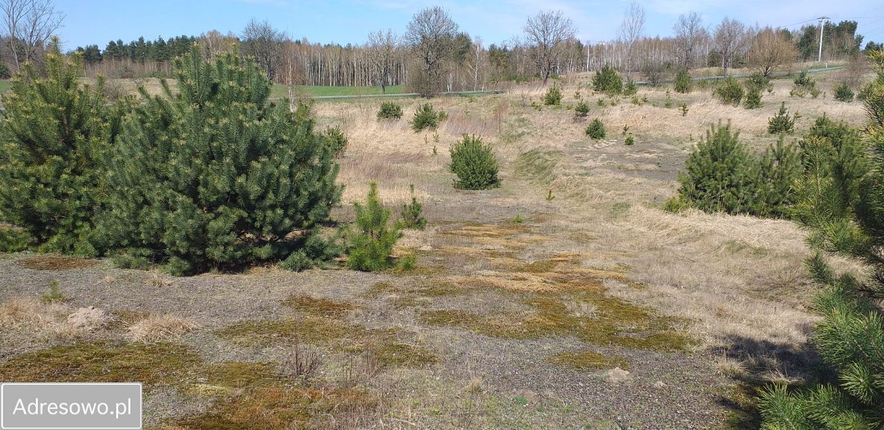 Działka budowlana Krzyżówki. Zdjęcie 6